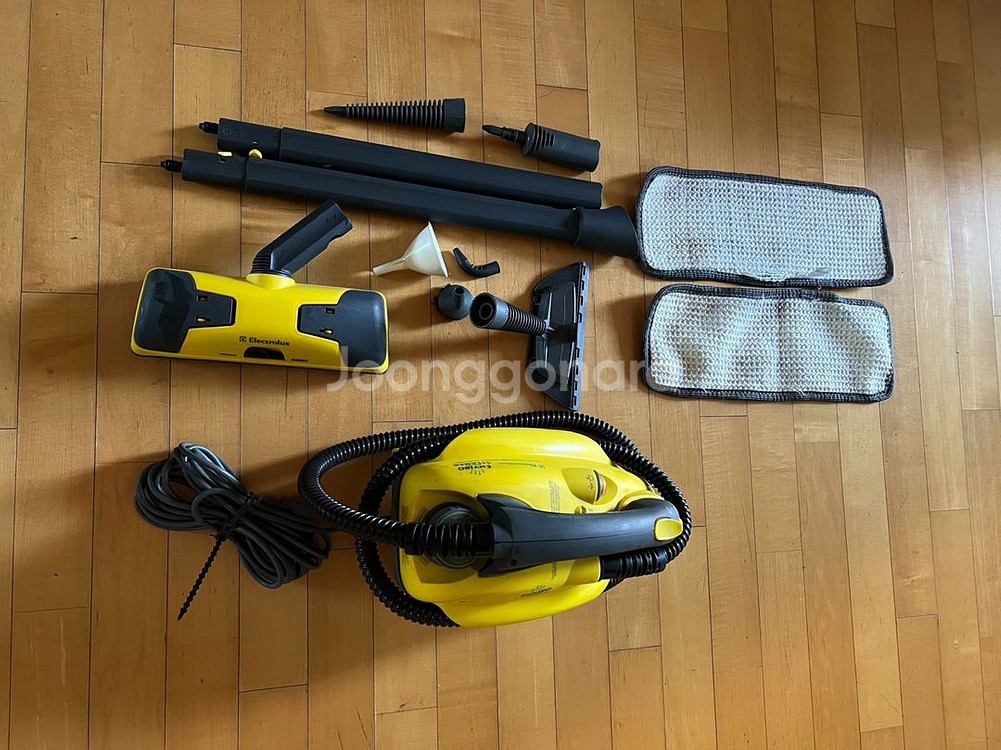 일렉트로룩스 다용도 스팀 청소기--0