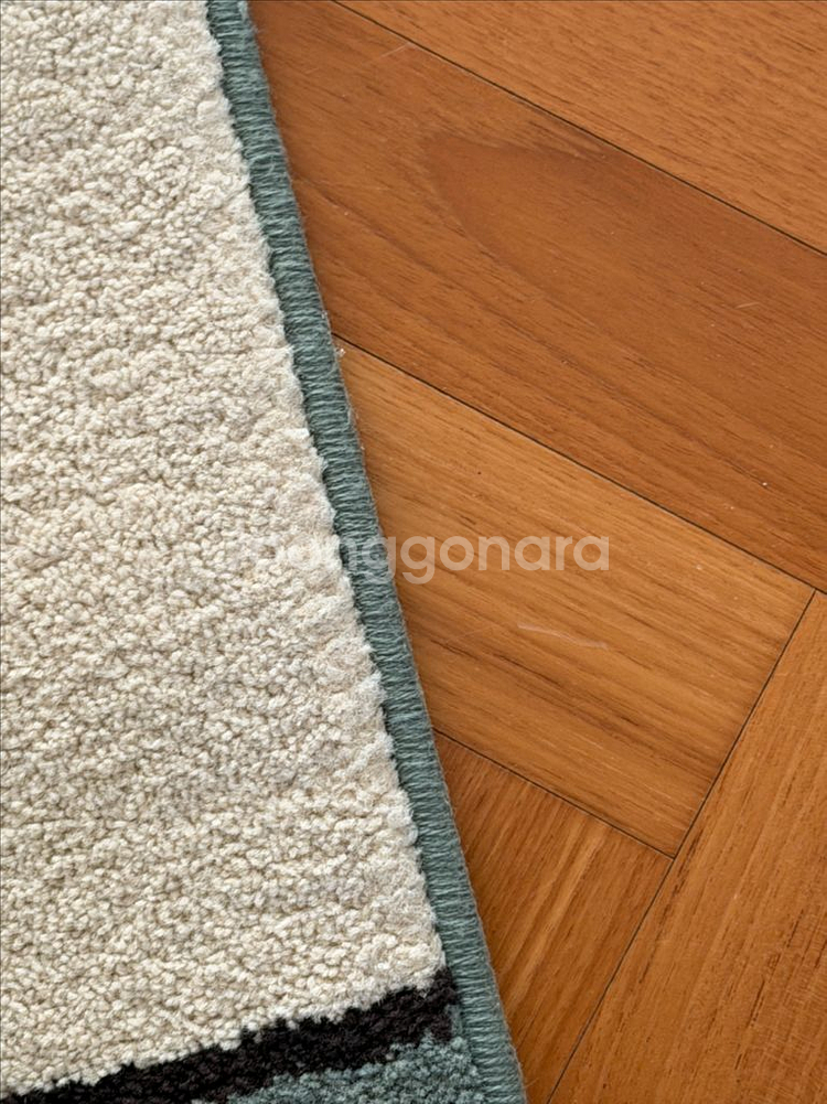 리튼 컬러 블록 러그 (민트초코 160 * 230)--5