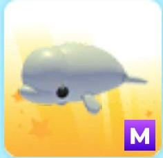 메가네온 벨루가 나눔합니다(입양하세요)--0