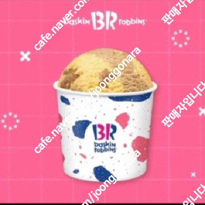 배스킨라빈스 쿼터 패밀리 / 베라패밀리 베라쿼터 파인트