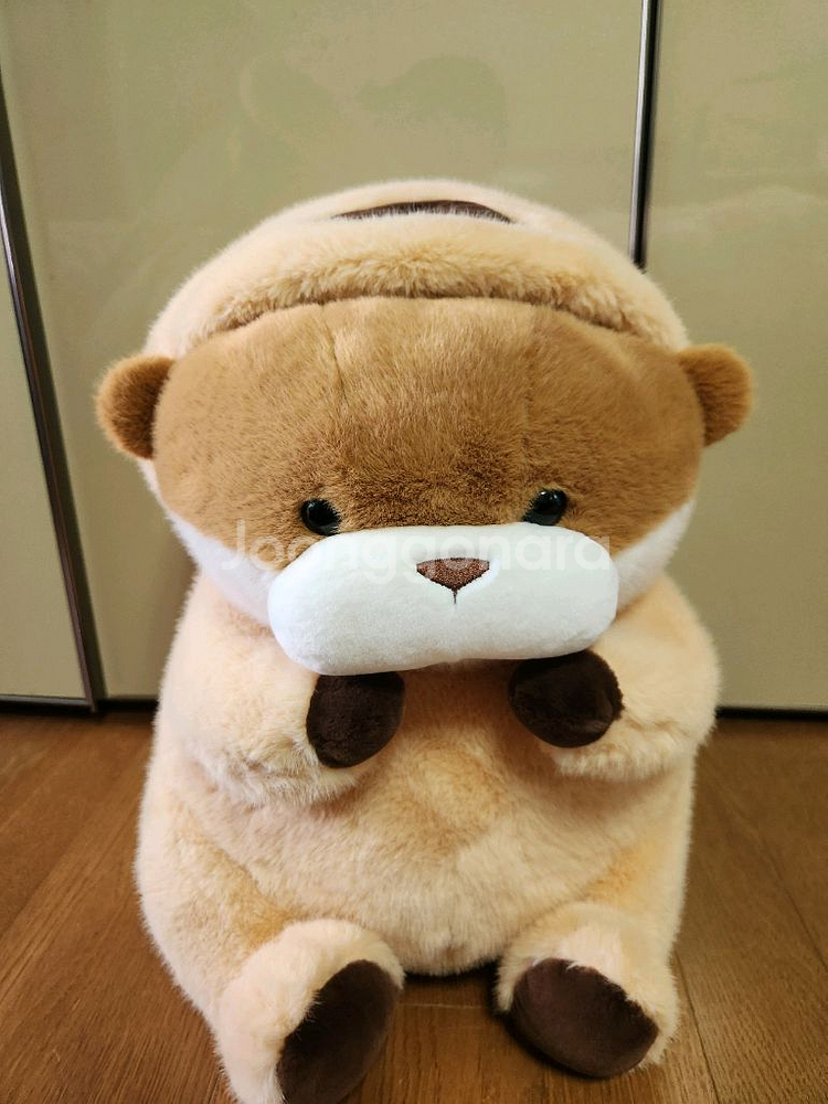 속았지 우소우소짱 브라운 45센티 새상품--1