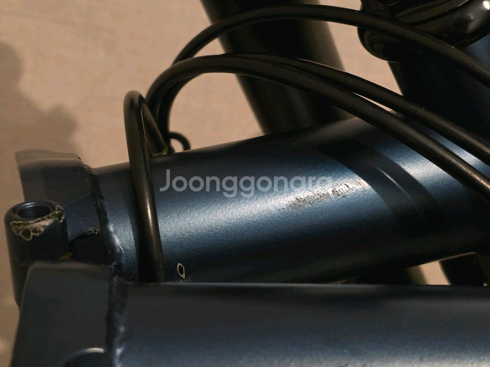 사바파이크 유사브롬톤 팝니다--2