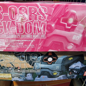 건담 mg샤아릭돔 코팅&돔 사제코팅