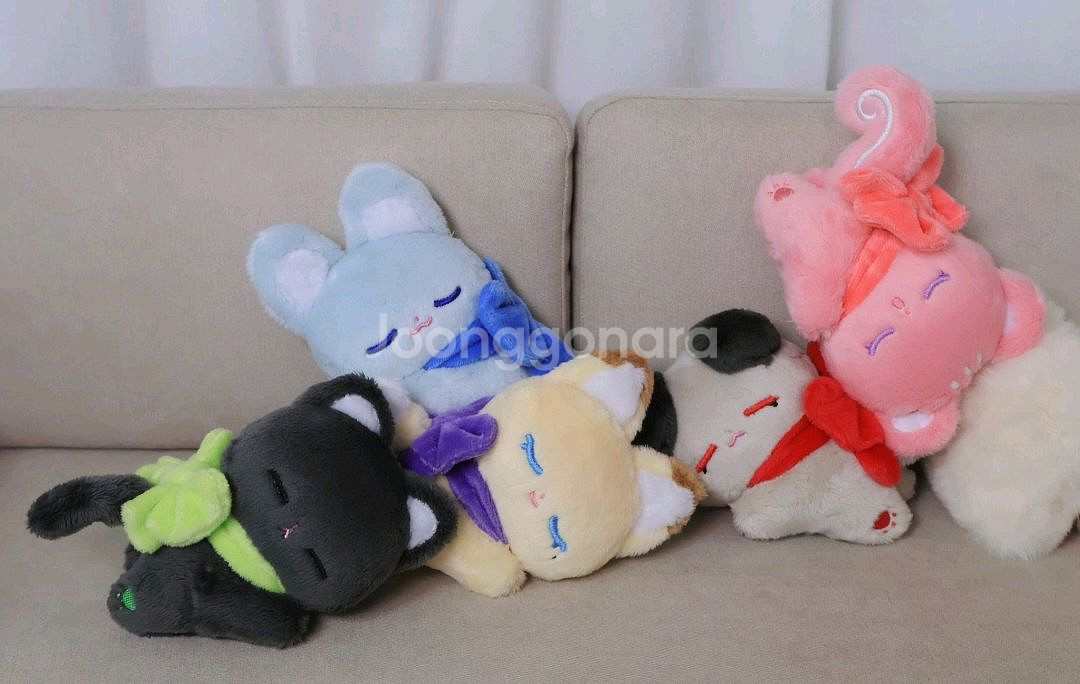 플레이브 코야플브 노아 밤비 판매--0