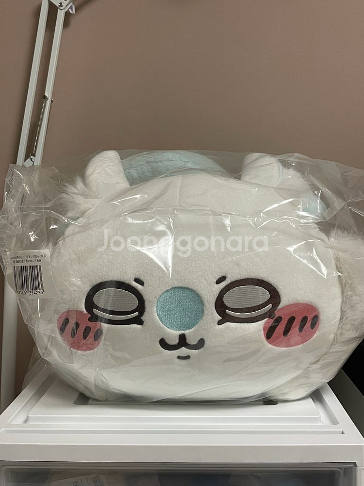치이카와 모몽가 쿠지 A상 B상 일괄--1