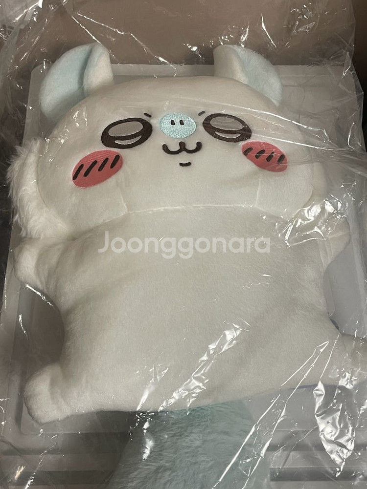 치이카와 모몽가 쿠지 A상 B상 일괄--2