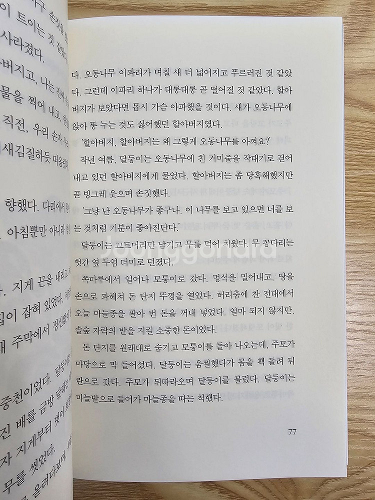 A++급 시공주니어 독서레벨3 61권 팝니다~!!--2