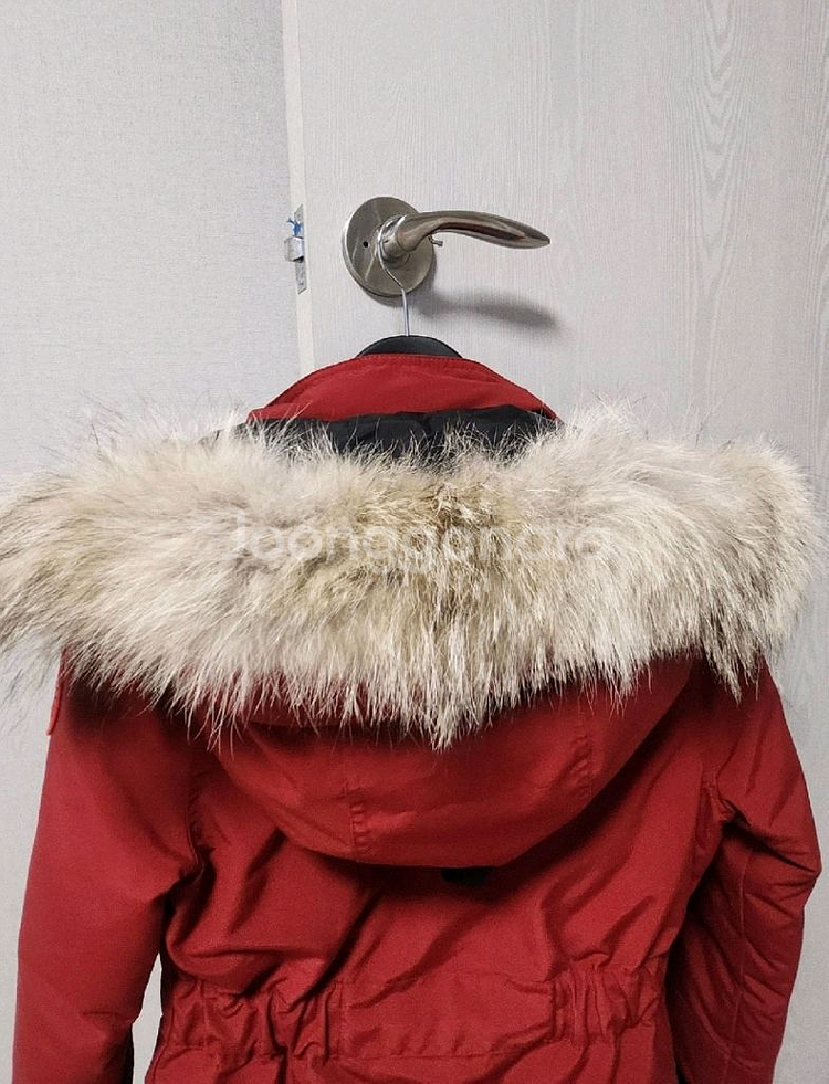 정품 캐나다구스 여성 XS 레드 패딩--2