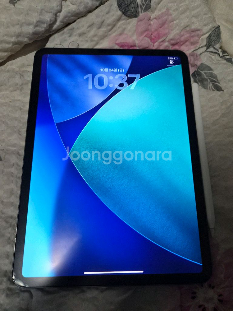 아이패드 프로 11인치 1테라셀룰러+애플펜슬 2세대--1