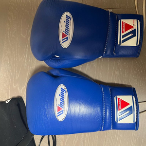 위닝 글러브 12온즈 & 마초마이 흰 금 280