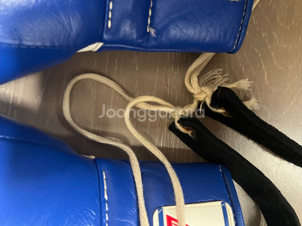 위닝 글러브 12온즈 & 마초마이 흰 금 280--1