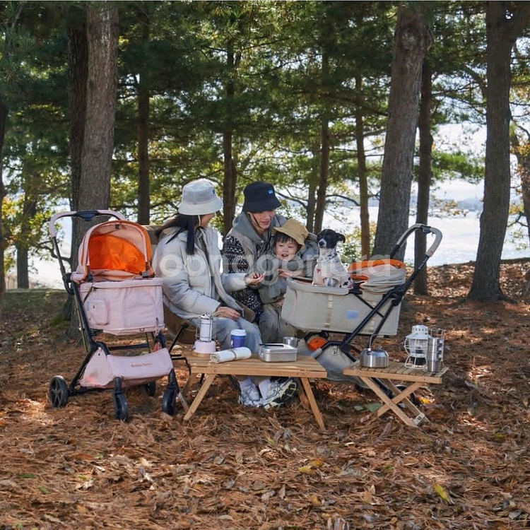 로얄테일즈 플로렌스 점퍼 강아지 고양이 유모차 베이지--9