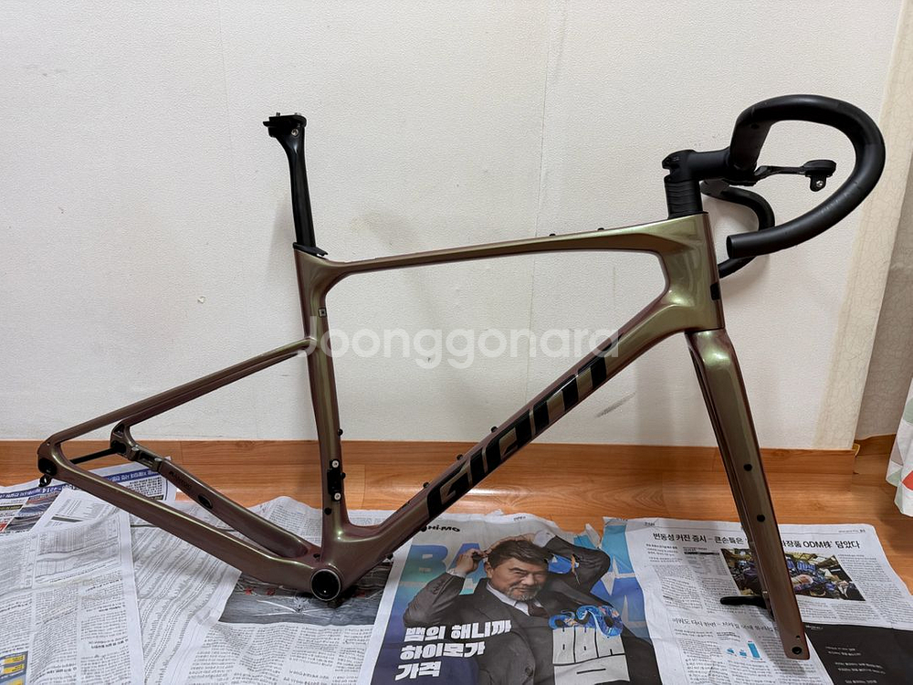 자이언트 리볼트 어드밴스 프로0(M) 프레임 판매--0