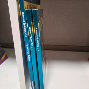 수퍼맘 트라이엄프 G2