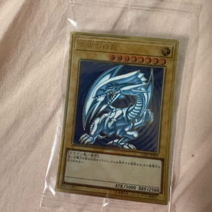 푸른눈의백룡 일판 카드 판매합니다