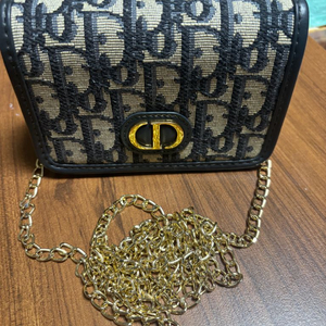 디올 30 몽테인 오블리크 나노 파우치