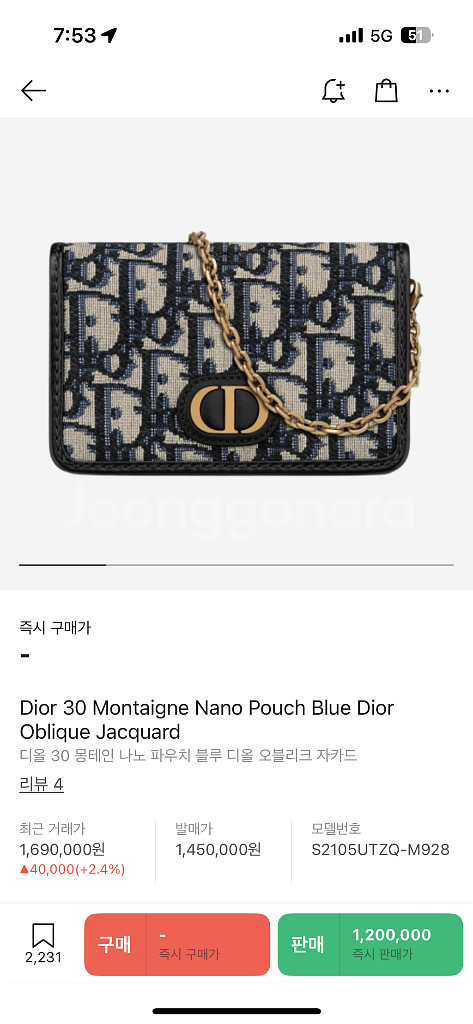 디올 30 몽테인 오블리크 나노 파우치--5