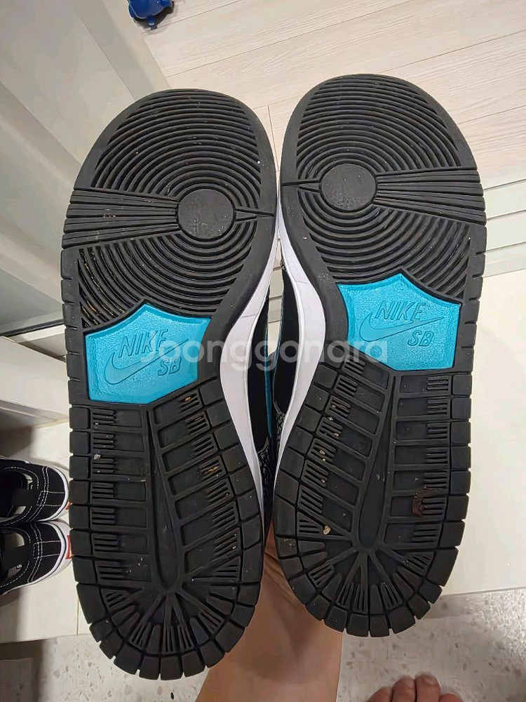 so 코끼리덩크 270 급매--1