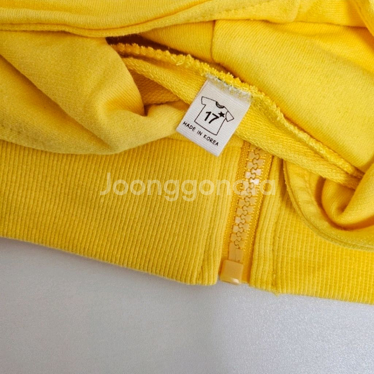 할로윈 코스튬 포켓몬스터 이브이 피카츄--3