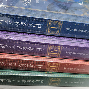 로맨스 로판 소설