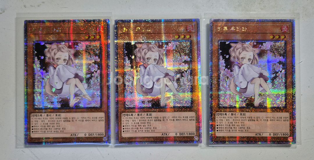 3장 유희왕 카드 QC QCAC KR050 하루 우라라--0