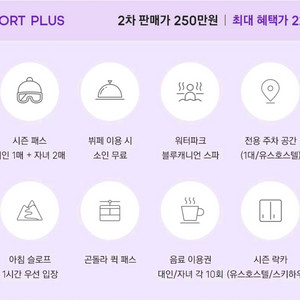휘닉스파크 휘팍 컴포트 플러스 시즌권 1차 가격에 양도