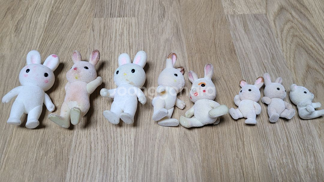 실바니안 패밀리 빨간지붕 2층집 +라즈베리하우스+캠핑카--8