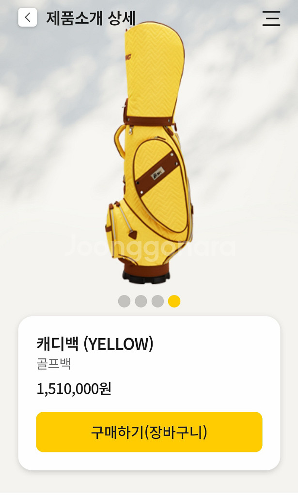 (새제품)뱅 골프 캐디백+보스턴백 옐로우--1