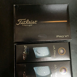 타이틀리스트 pro v1x 골프공 6구 (25년형)
