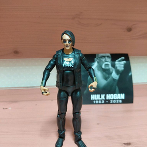 wwe 피규어 커스텀 리플리