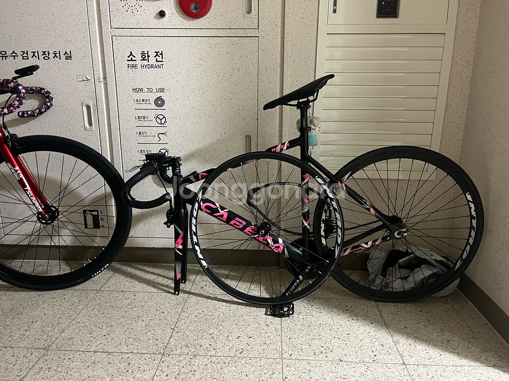 카베자 멜린 24년식 픽시 자전거--2