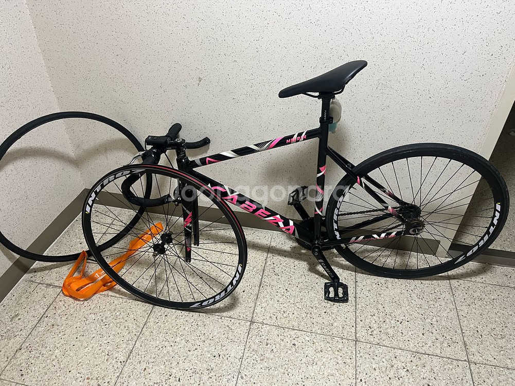 카베자 멜린 24년식 픽시 자전거--0