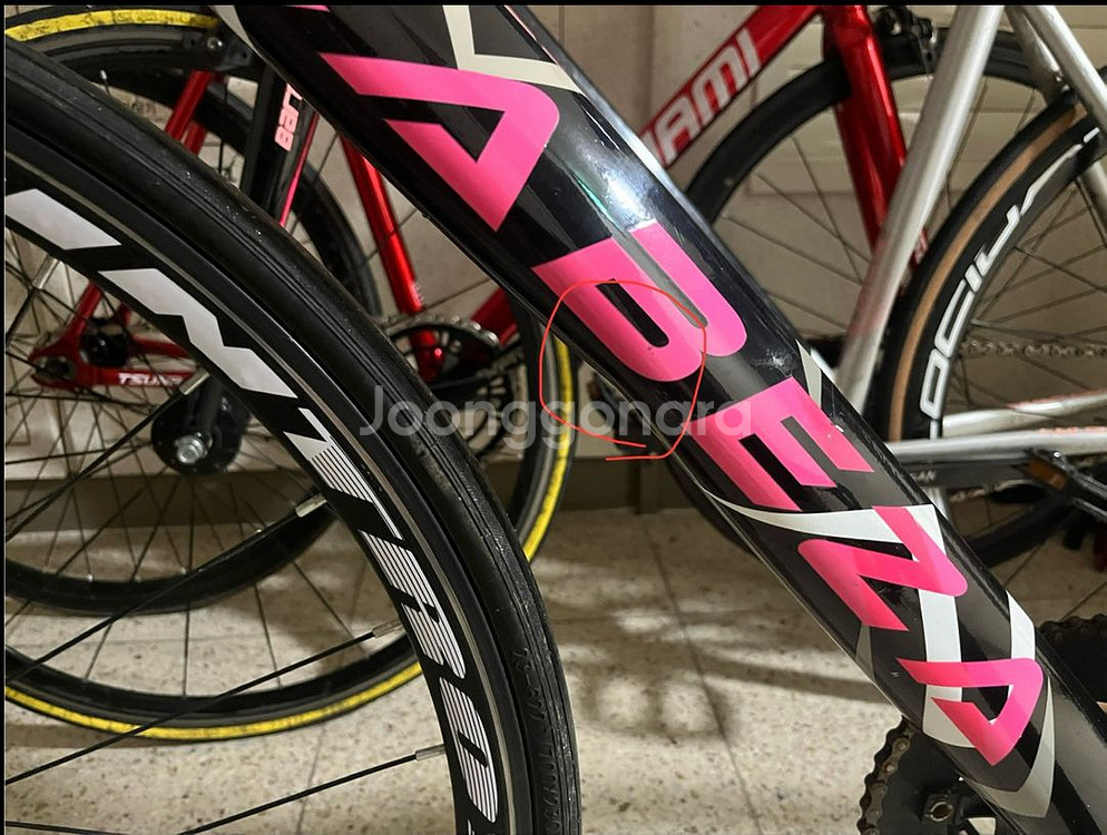 카베자 멜린 24년식 픽시 자전거--5