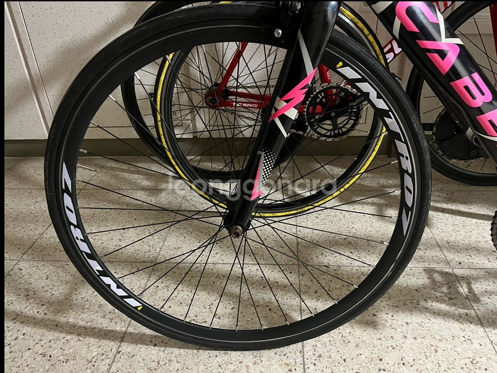 카베자 멜린 24년식 픽시 자전거--7