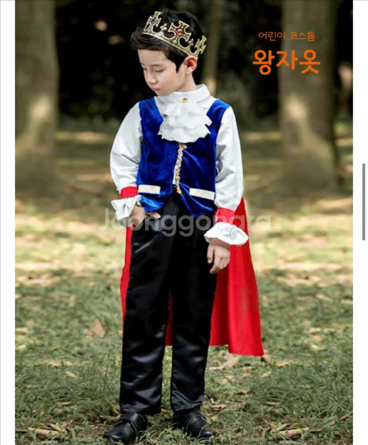 왕자코스튬 새제품 알로왕자--1