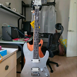 Ibanez TOD10 팀 헨슨 시그니쳐