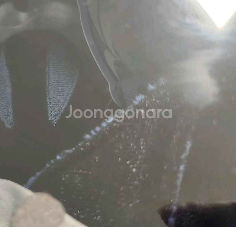 쿠킹덤 쉐도우밀크 인형 일괄 판매합니다--2