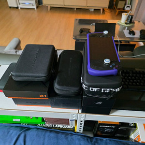 흑갈리 rog ally x 2tb업글팝니다.