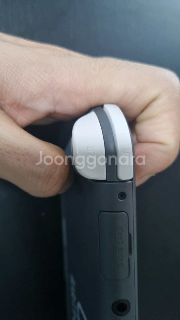 A급/단품 닌텐도 스위치라이트 그레이+추가컨텐츠--3