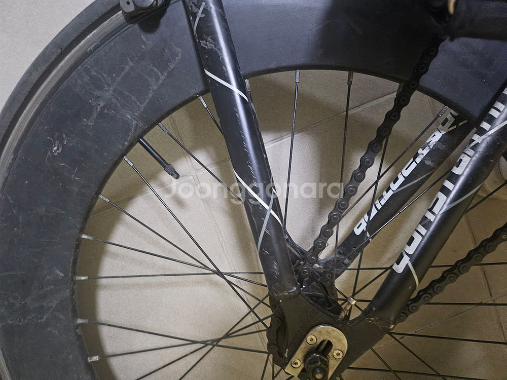 픽시 콘스탄틴 어베인 24년식--2