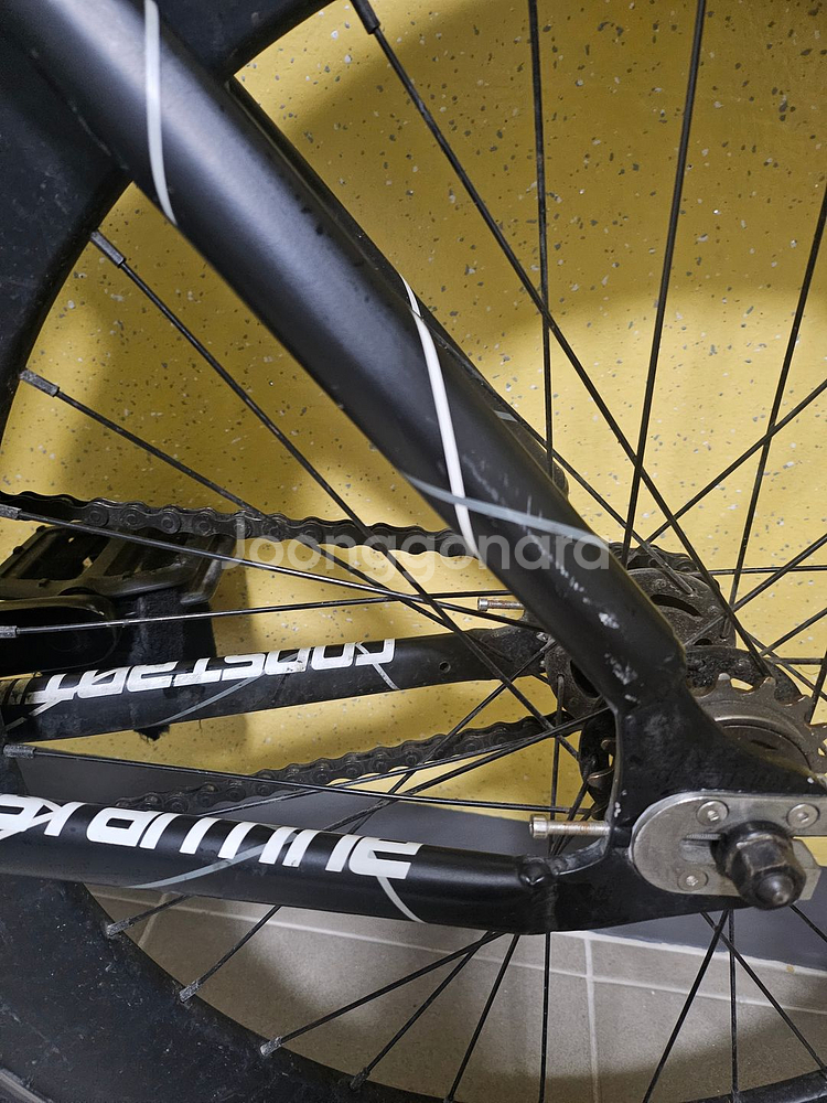 픽시 콘스탄틴 어베인 24년식--5