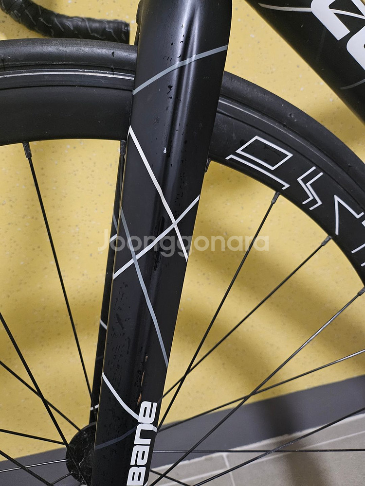 픽시 콘스탄틴 어베인 24년식--3