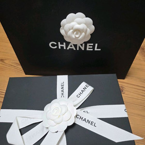 샤넬 클래식 WOC 미니백 턴락 AP4241