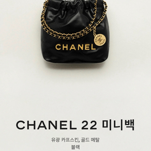 샤넬 22백 미니 블랙 팝니다 (백화점 정품)