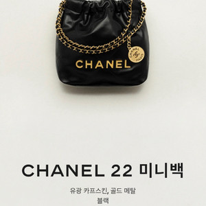 샤넬 22백 미니 블랙 팝니다 (백화점 정품)