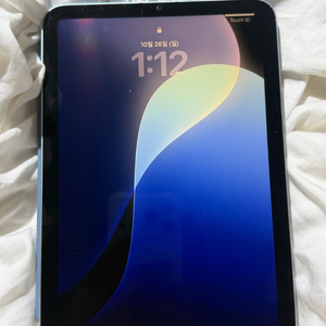 9월구매 아이패드 미니 7세대 셀룰러 256 애케플