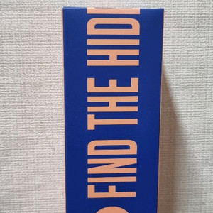 디어도어 더 히든 바디스크럽 100ml