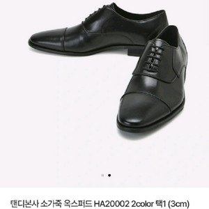 탠디 소가죽 옥스포드 스트레이트팁 구두 275size