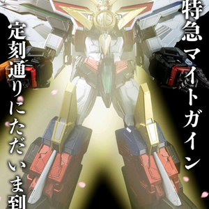 센티넬 그레이트 마이트가인(미개봉/옵션포함)팝니다