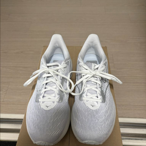 미즈노 웨이브 라이더 28 270